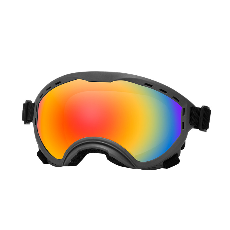 Okulary dla zwierząt, ochrona  – Travel Accessories Gift Ideas recenzja i cena